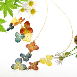 【金泥＆草木染】葉脈アジサイの秋色ピアス・14kgf 《イヤリングに交換可》 6枚目の画像