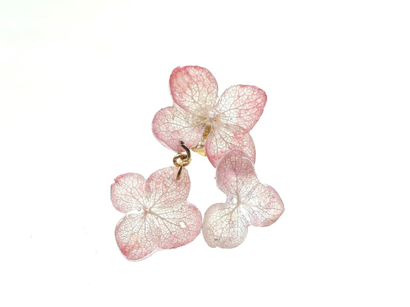 葉脈繡球櫻桃色耳環【粉紅珊瑚染色】・14kgf&lt;耳環允許&gt; 第4張的照片