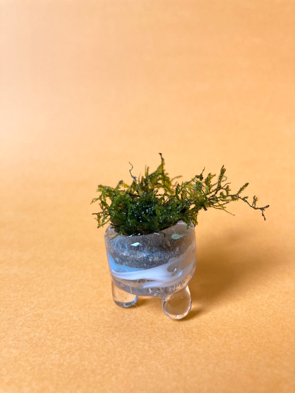 ミニ盆栽鉢 クリアガラス 一輪挿し・花瓶・花器 CHAMA GLASS