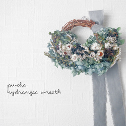 専用　スターチスのもこもこリース　ハーフリース(21㎝) スターチスのもこもこハーフリース【Creema限定】 ドライ