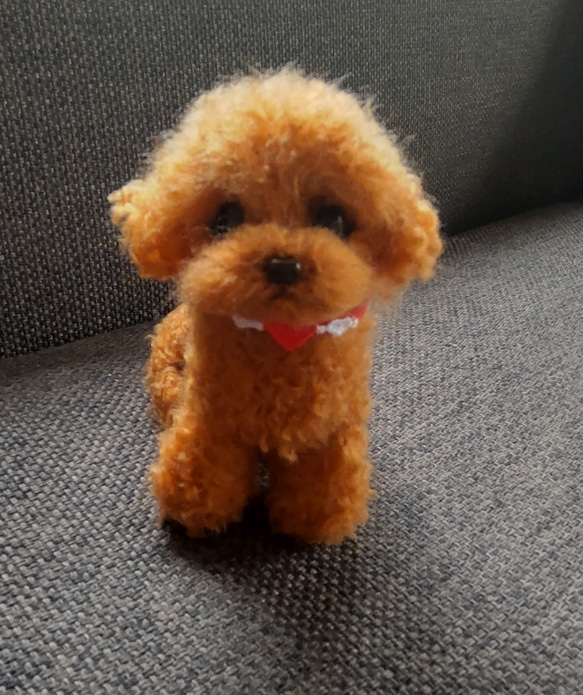 羊毛フェルトトイプーのパピーちゃん 羊毛フェルト olive 通販｜Creema(クリーマ)