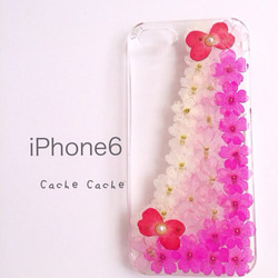 ⑥グラデーション押し花とローズリボンのiPhone6ケース 1枚目の画像