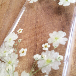 ⑤ホワイトバーベナとかすみ草の押し花iPhone5/5sケース 2枚目の画像