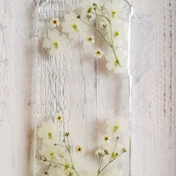 ⑤ホワイトバーベナとかすみ草の押し花iPhone5/5sケース 3枚目の画像