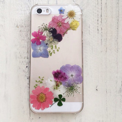p⑥お花iroiro押し花iPhone6plusケース 5枚目の画像