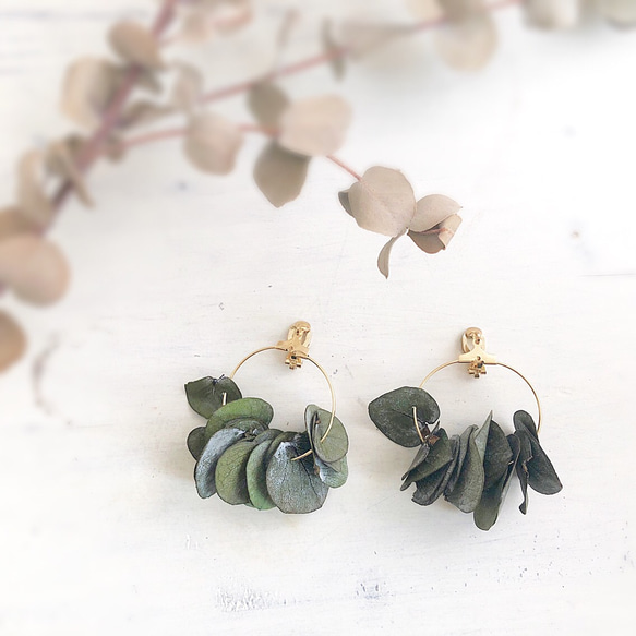 eucalyptus  hoop  earring or  pierce 2枚目の画像