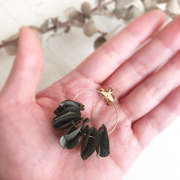 eucalyptus  hoop  earring or  pierce 5枚目の画像