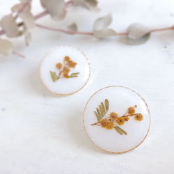 mimosa  circle  earring  or  pierce 1枚目の画像