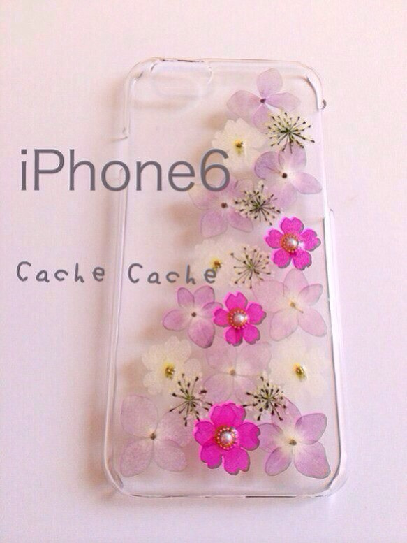 ⑥紫陽花とバーベナの押し花iPhone6ケース 1枚目の画像