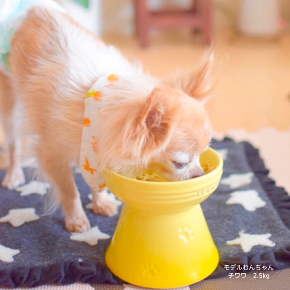 ふわふわよだれかけ韓国生地キルト芯入り　ペット用スタイ　犬猫うさぎ用　ハンドメイド 7枚目の画像