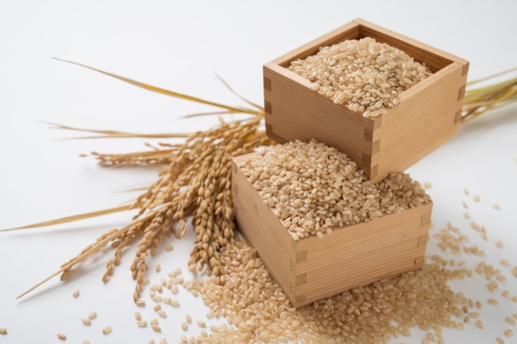令和4年度玄米★長崎県認定特別栽培米ひのひかり5㎏★宮下さんちのおいしいお米 1枚目の画像