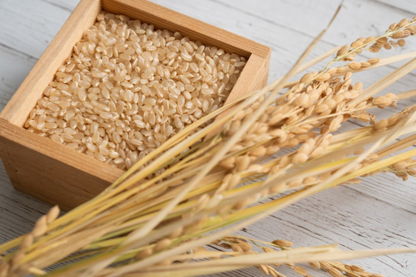 令和4年度玄米★長崎県認定特別栽培米ひのひかり2㎏★宮下さんちのおいしいお米 4枚目の画像