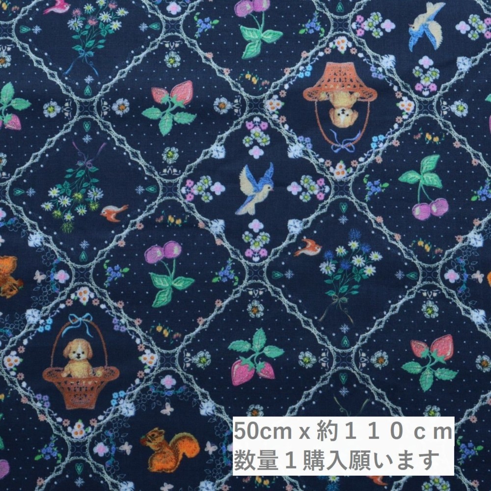 アイシングキューブ 紺 松浦由起江（ユキエモン）さん ローン