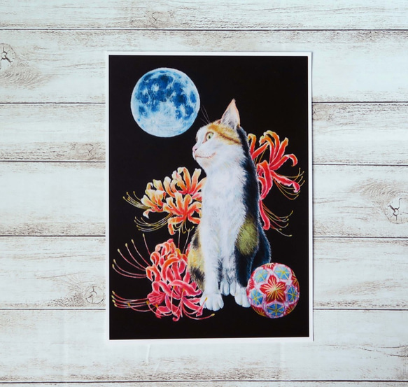 楽天市場】白猫 黒猫（アート・美術品・骨董品・民芸品｜ホビー
