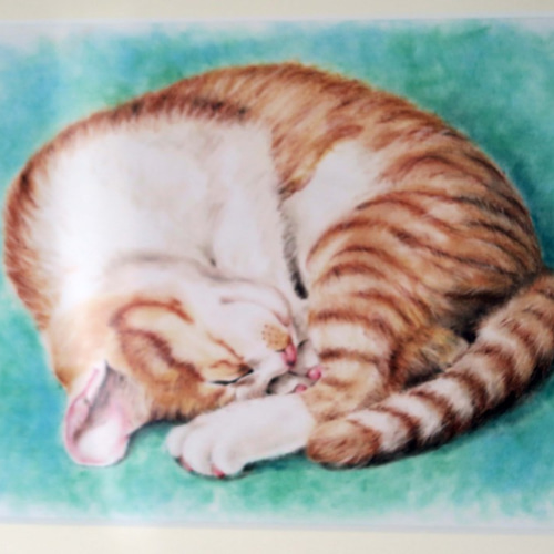 原画〉猫パステル画 A4サイズ 額縁・マット付き 丸くなって