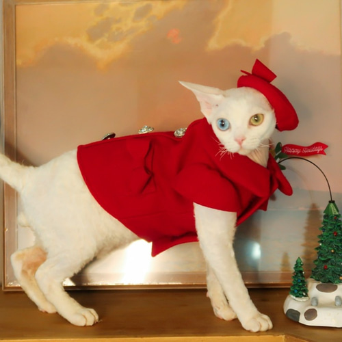 ヴィンテージ　猫の人形 水色ドレス ほうき付き ヴィンテージ 猫の人形 水色ドレス ほうき付き 楽天市場】魔女