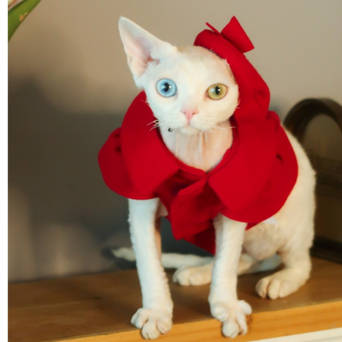 ヴィンテージ　猫の人形 水色ドレス ほうき付き ヴィンテージ 猫の人形 水色ドレス ほうき付き 楽天市場】魔女