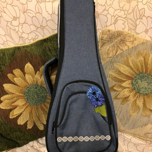 かっこよく飾れるウクレレケース　ハンドメイド Amazon | Ibanez アイバニーズ コンサートサイズ・ウクレレ用