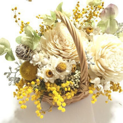 mimosa basket arrangements 1枚目の画像