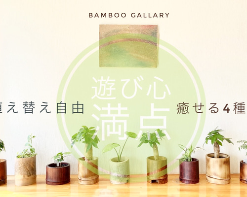 0_b4915191a01364e2adbb007ea02f