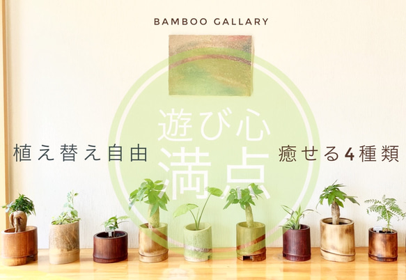 遊び心満点！おしゃれな炙り竹ポット　自然の竹の温かみで素敵な空間！漆カラー　9cmポット用 1枚目の画像