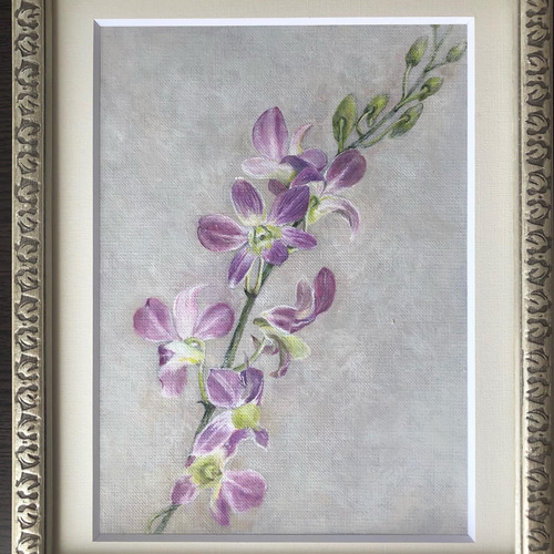 デンファレの花 絵画 Sonako 通販 12725852｜Creema(クリーマ