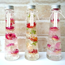 ハーバリウム ～紫陽花と貝細工の可憐なコンビネーション～ 5枚目の画像