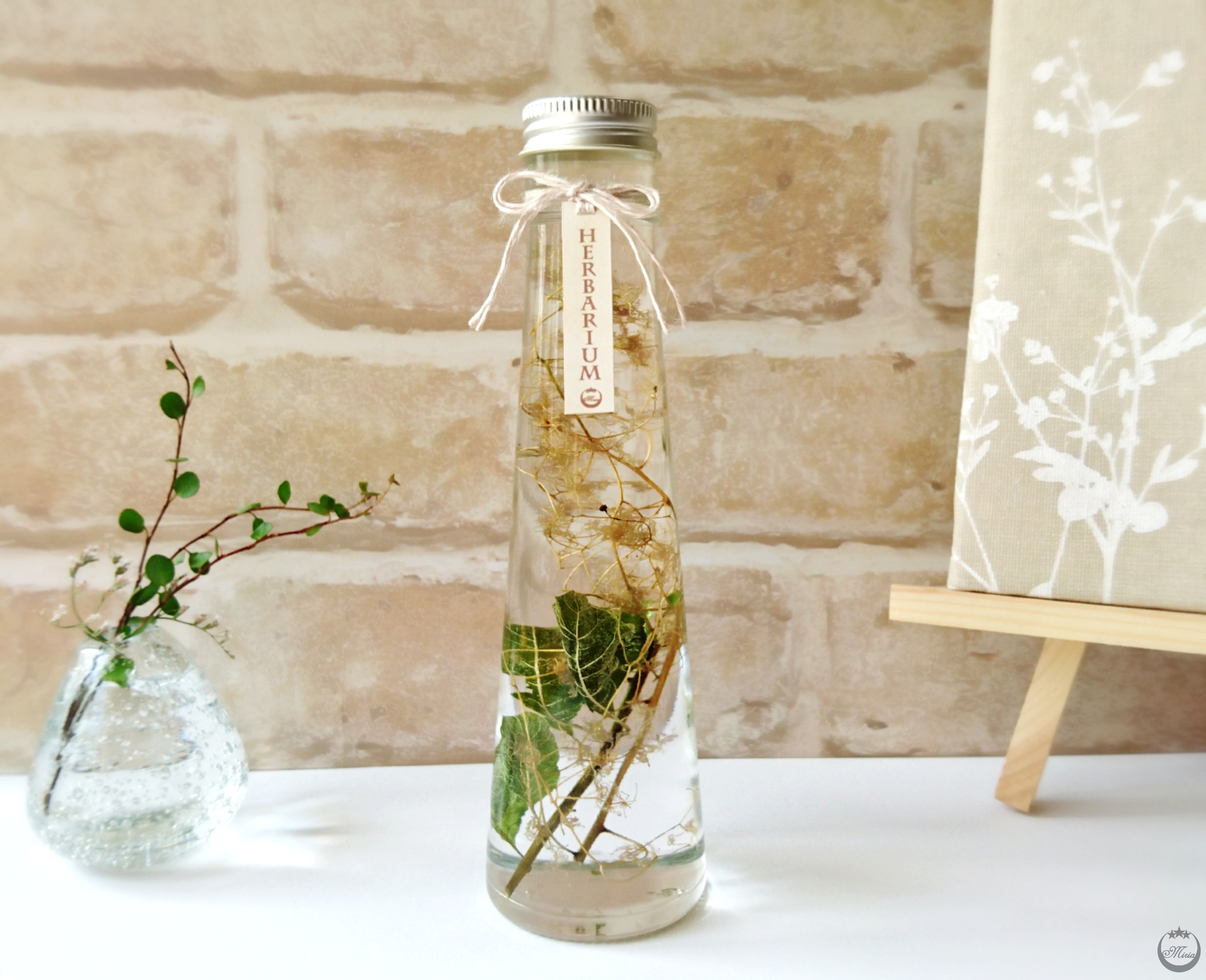 植物標本 液体標本 スノードーム ハーバリウム スモークツリー