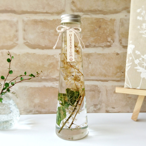 植物標本 液体標本 スノードーム ハーバリウム スモークツリー プリザーブド 植物標本 液体標本 スノードーム ハーバリウム スモークツリー