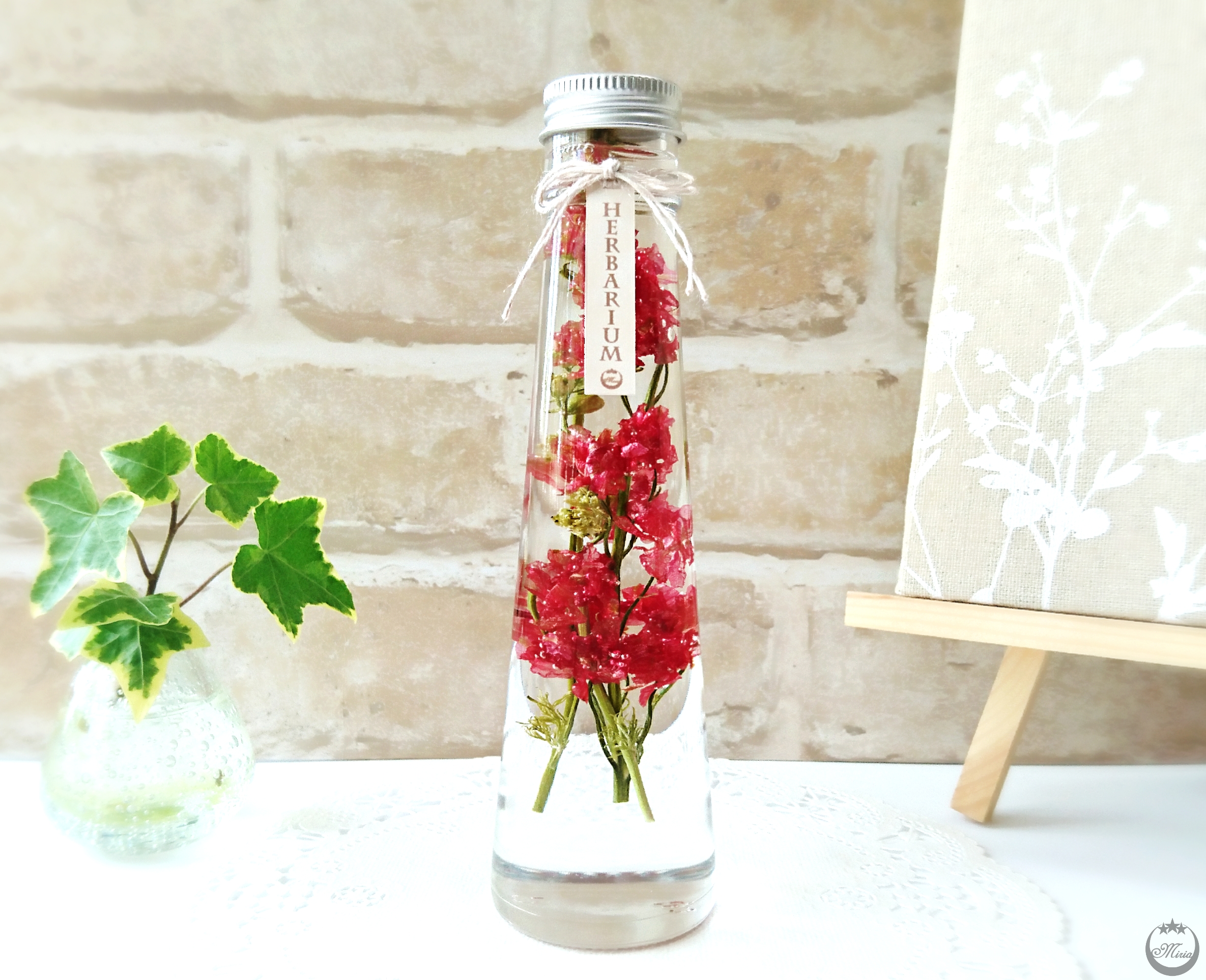 ◆ハーバリウム　221 真っ赤なジニアと美しいバラ*.:。✿*゜¨゜ ◇ハーバリウム 221 真っ赤なジニアと美しいバラ*.:。✿*゜¨゜