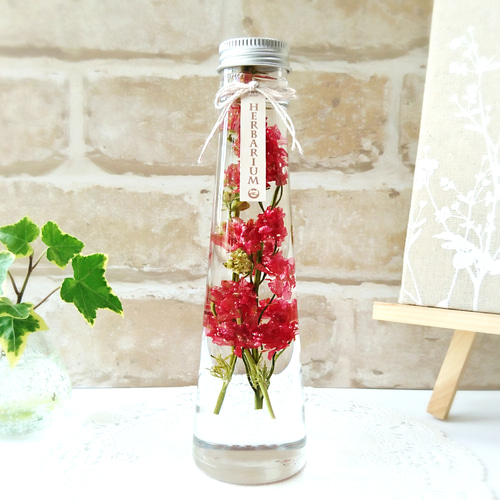 ハーバリウム ～ナチュラル・鮮やか赤色ラクスパー～ ハー