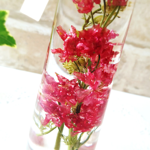 ハーバリウム ～ナチュラル・鮮やか赤色ラクスパー～ ハー