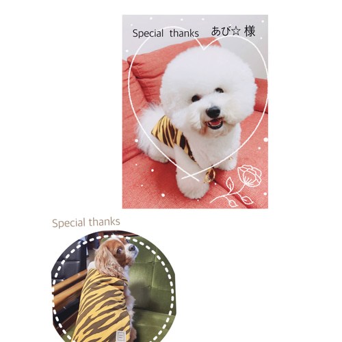 虎柄】ハンドメイドちゃんちゃんこ Mサイズ【犬服】 ペット服