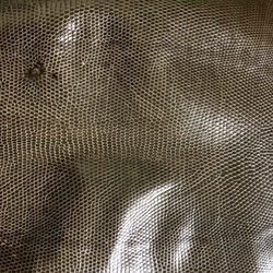 リザード　トカゲ 革 　希少色　29センチ　エキゾチックレザー　一点もの　小物用c-7 4枚目の画像