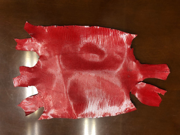 リザード　トカゲ 革 　希少色　23センチ　エキゾチックレザー　一点もの　小物用c-1　レッド　赤 1枚目の画像