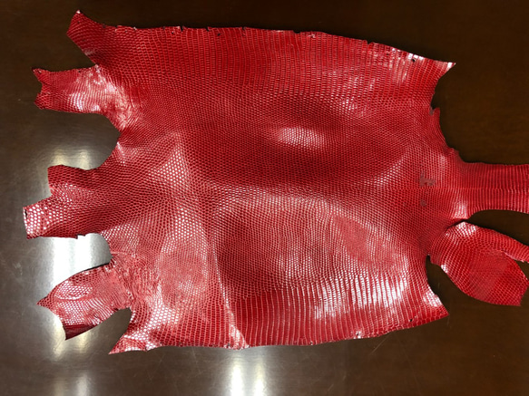 リザード　トカゲ 革 　希少色　23センチ　エキゾチックレザー　一点もの　小物用c-1　レッド　赤 3枚目の画像