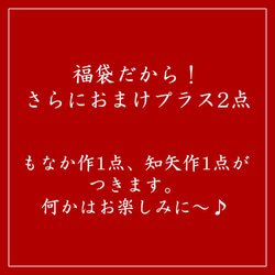 【2017年 福袋】☆知矢バージョンNo.1 【1月限定】 5枚目の画像