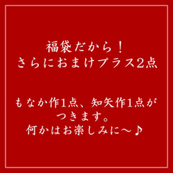 【2017年 福袋】☆知矢バージョンNo.2 願いを叶える福袋【1月限定】 5枚目の画像