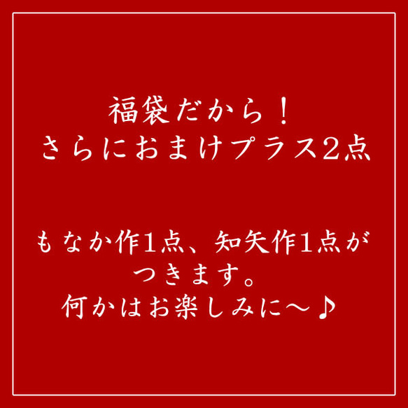 【2017年 福袋】☆もなかバージョンNo.1 うどんセット【1月限定】 5枚目の画像