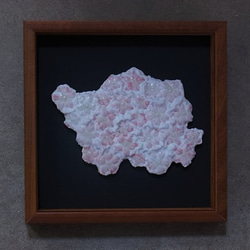 櫻花（花冠）3（陶瓷板） 第1張的照片