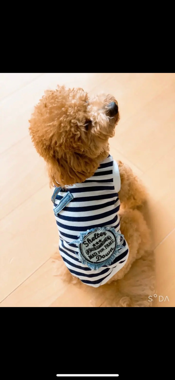 犬服 ネイビーボーダーのアメリカンタンクトップ ペット服 