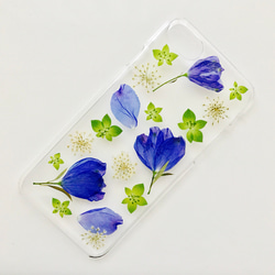 押し花iPhoneケース＊Delphinium＊ 2枚目の画像