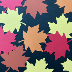 秋の落ち葉シリーズ　プラタナス 100枚 3枚目の画像