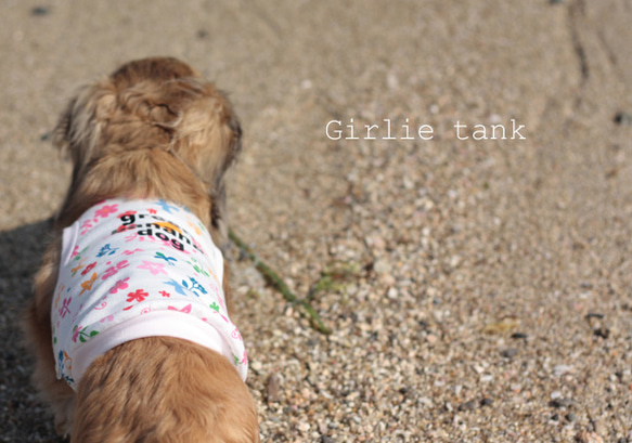 胸囲３４ｃ★小型犬用☆ガーリータンクトップ01☆greenbananadog 3枚目の画像