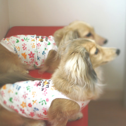 胸囲３４ｃ★小型犬用☆ガーリータンクトップ01☆greenbananadog 5枚目の画像
