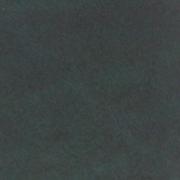 たぬきのスイカ様専用 スリムギャルソンウォレット 1枚目の画像