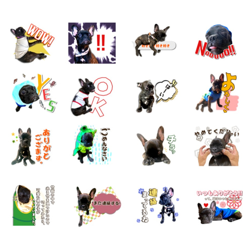 確認ページ♡わんこ くまだワンコ様確認ページ