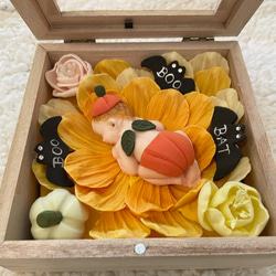 クレイベイビーBOX　パンプキン　粘土で作ったかわいい赤ちゃん 4枚目の画像