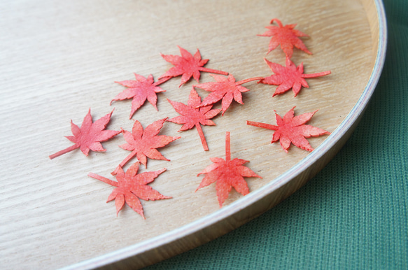 -秋の葉- 紅葉とイチョウ の イヤリング (ピアス) 5枚目の画像