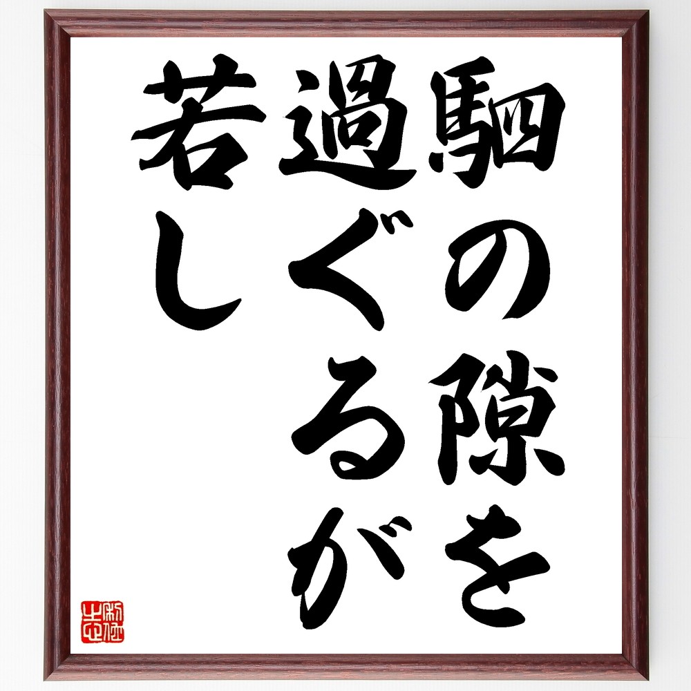 名言「駟の隙を過ぐるが若し」手書き書道色紙額／受注後の毛筆直筆（Z5507）